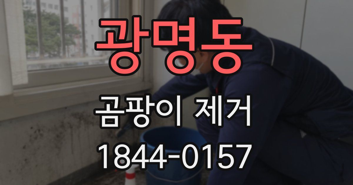 광명동 곰팡이 제거