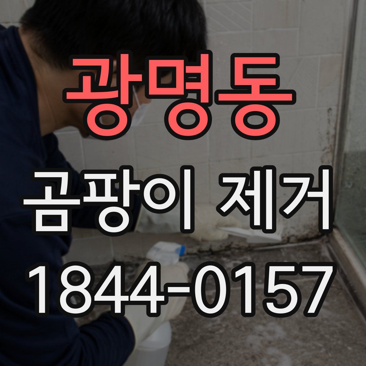 광명동 곰팡이 제거