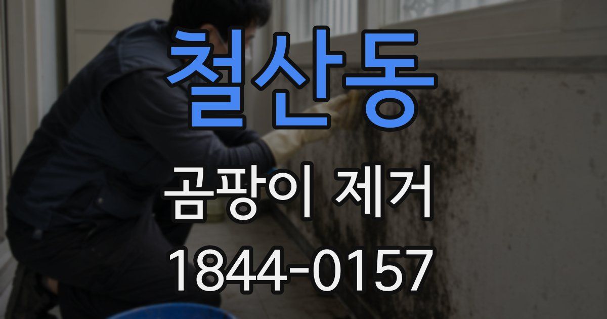 철산동 곰팡이 제거