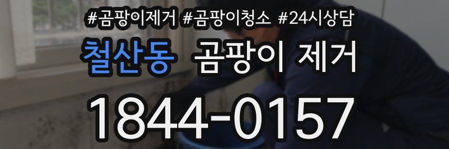 철산동 곰팡이 제거