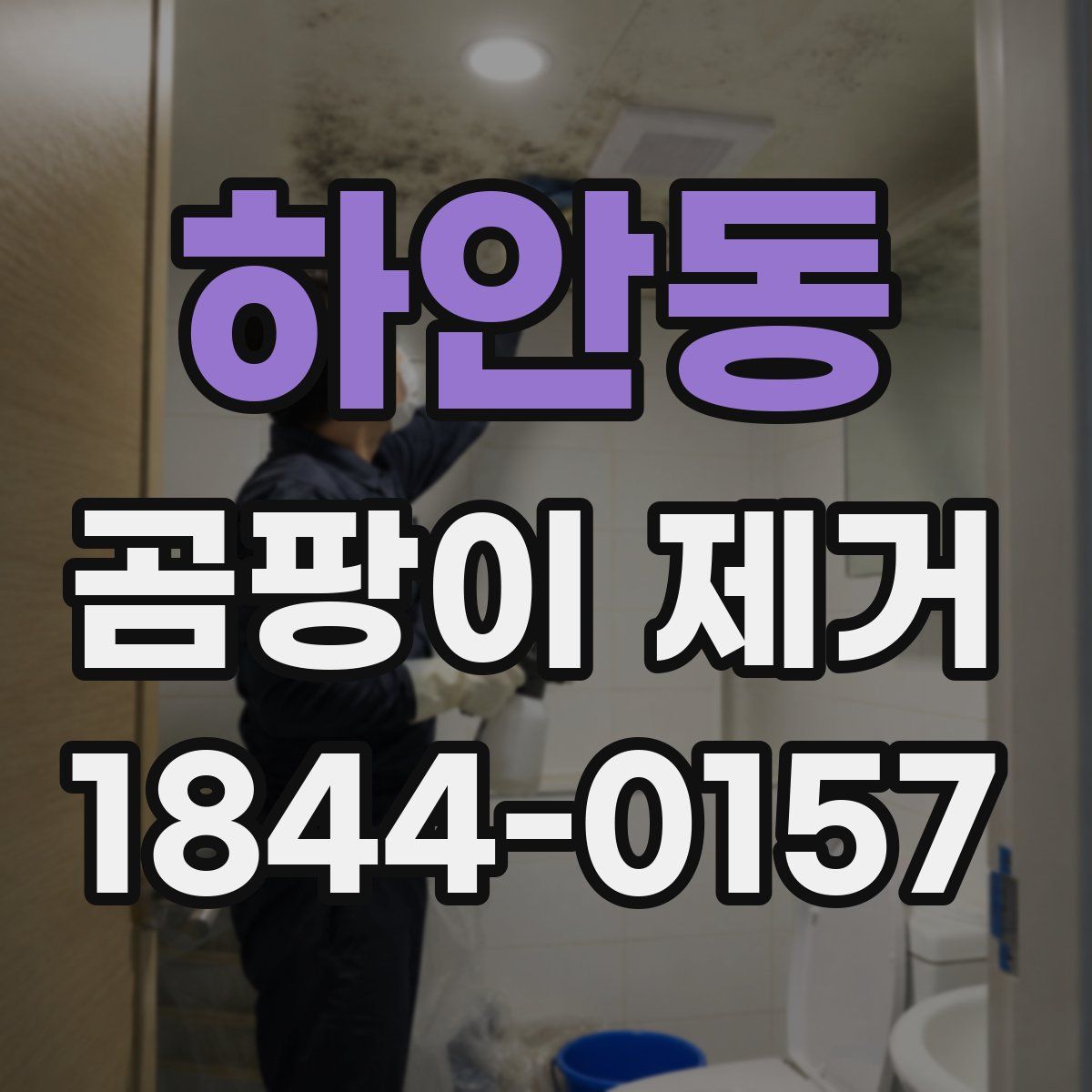 하안동 곰팡이 제거