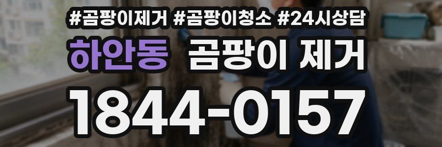 하안동 곰팡이 제거