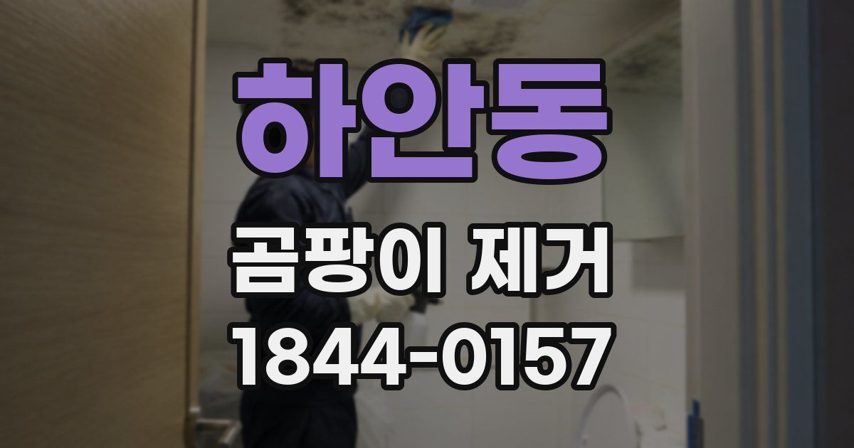 하안동 곰팡이 제거