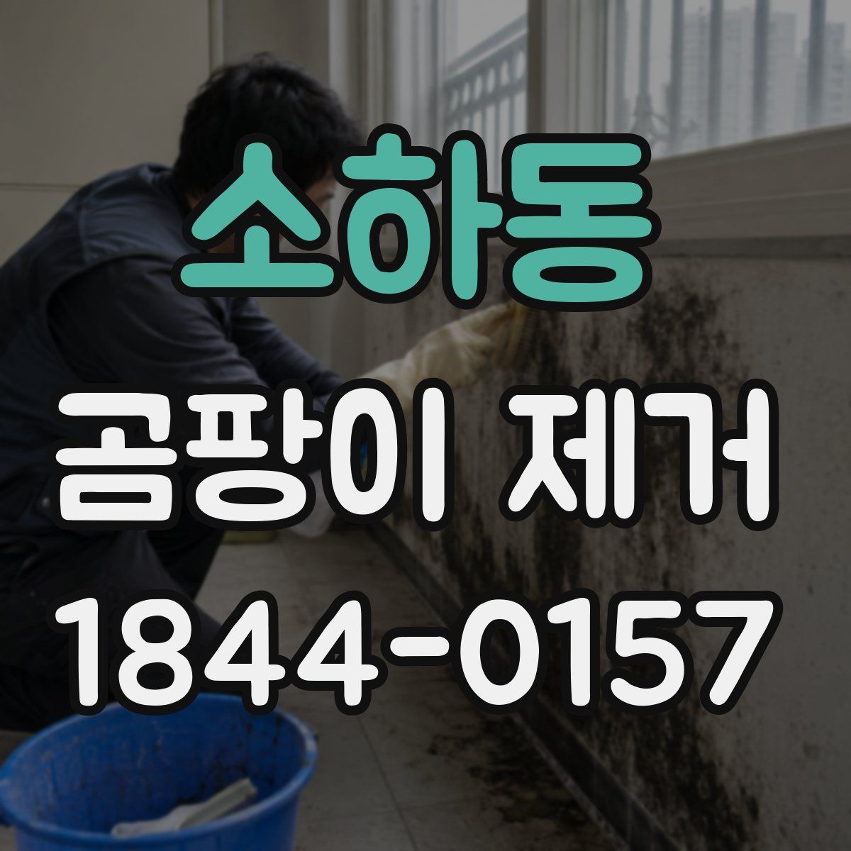 소하동 곰팡이 제거