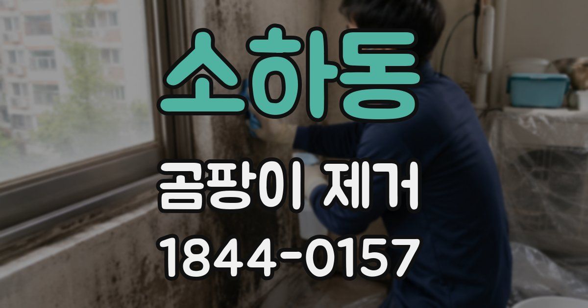 소하동 곰팡이 제거