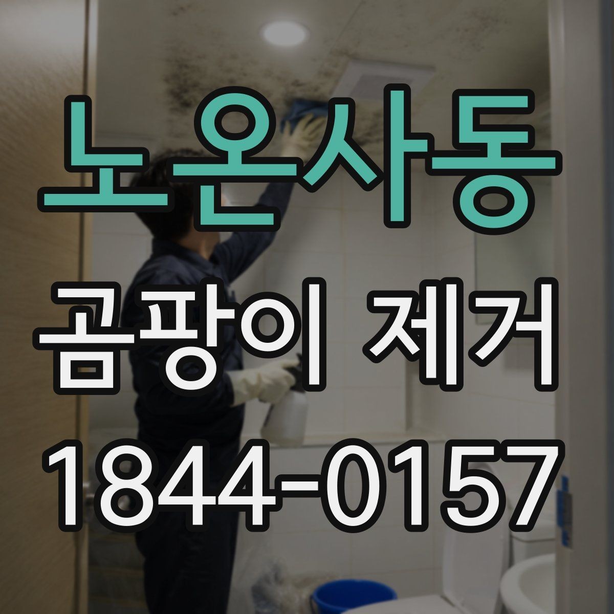 노온사동 곰팡이 제거 번진 범위에 따라 달라지는 작업 순서