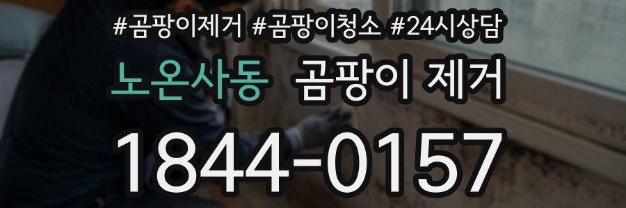 노온사동 곰팡이 제거