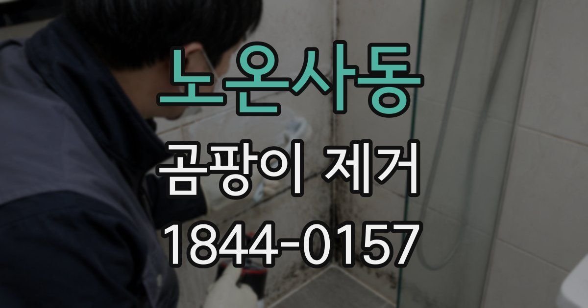 노온사동 곰팡이 제거