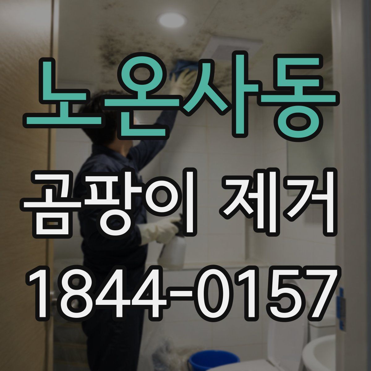 노온사동 곰팡이 제거