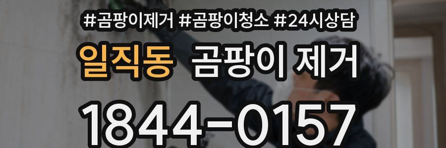 일직동 곰팡이 제거