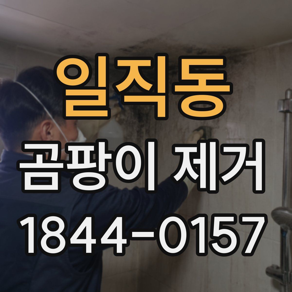 일직동 곰팡이 제거