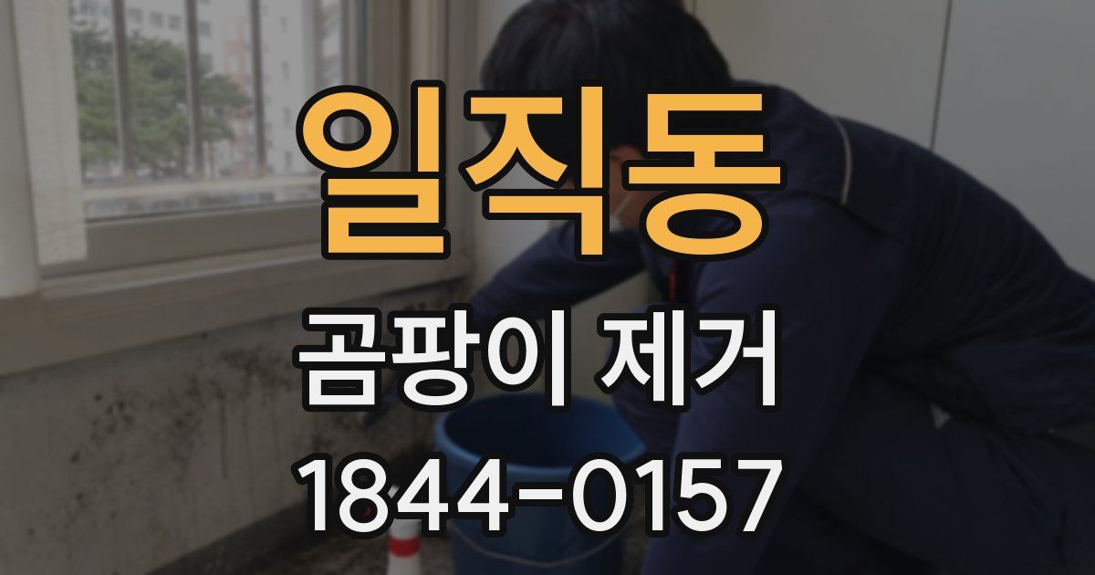 일직동 곰팡이 제거