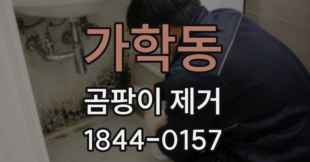 가학동 곰팡이 제거