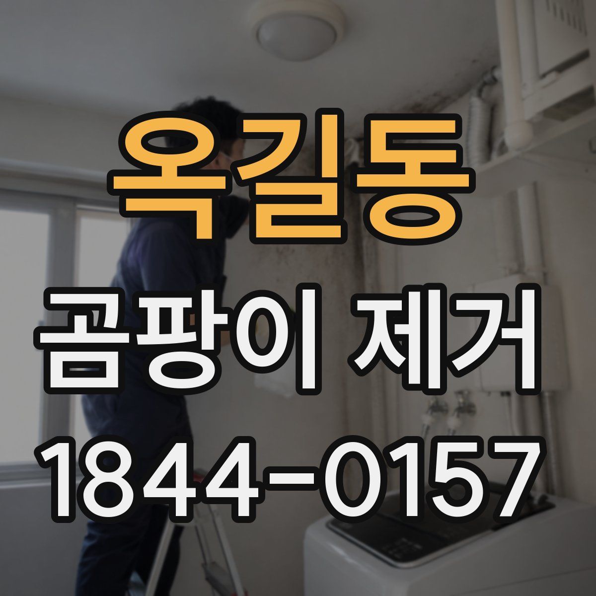 옥길동 곰팡이 제거