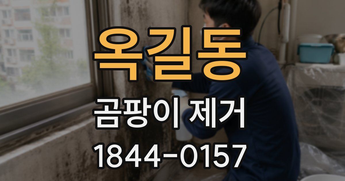 옥길동 곰팡이 제거