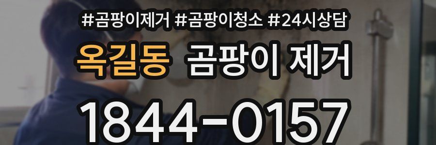 옥길동 곰팡이 제거