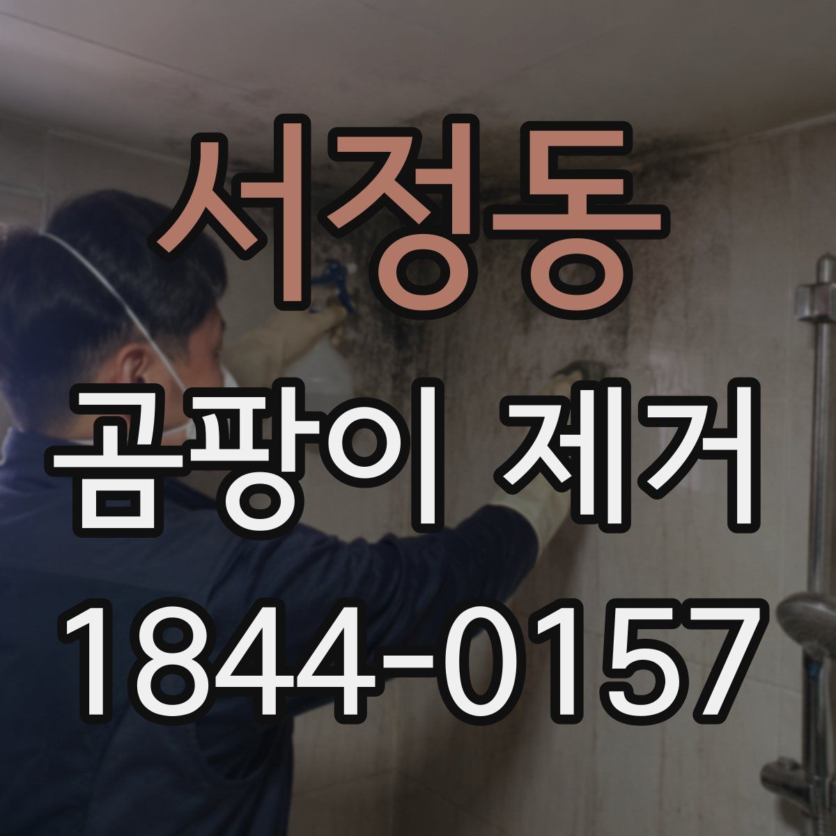 서정동 곰팡이 제거