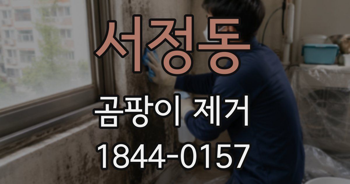 서정동 곰팡이 제거