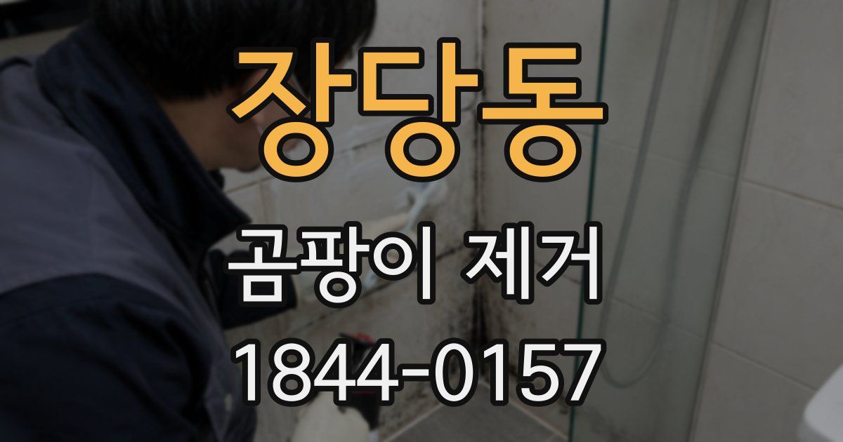 장당동 곰팡이 제거
