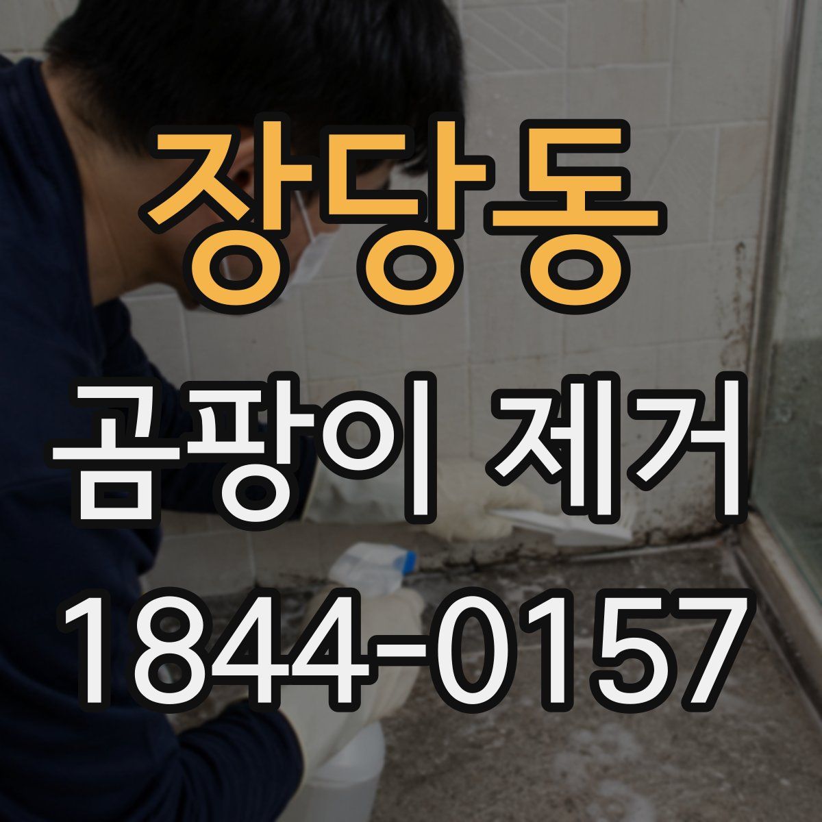장당동 곰팡이 제거