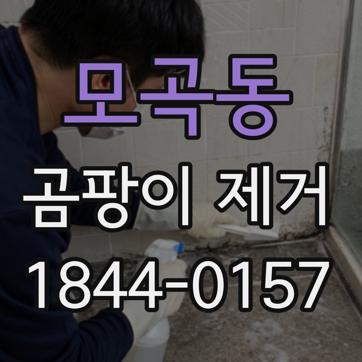 모곡동 곰팡이 제거