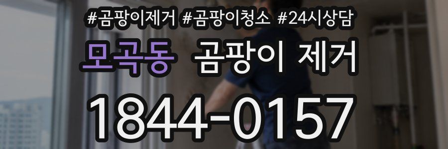 모곡동 곰팡이 제거