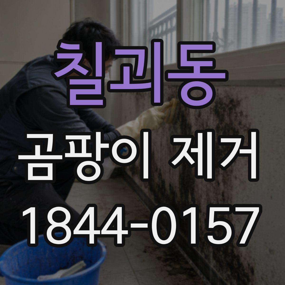 칠괴동 곰팡이 제거