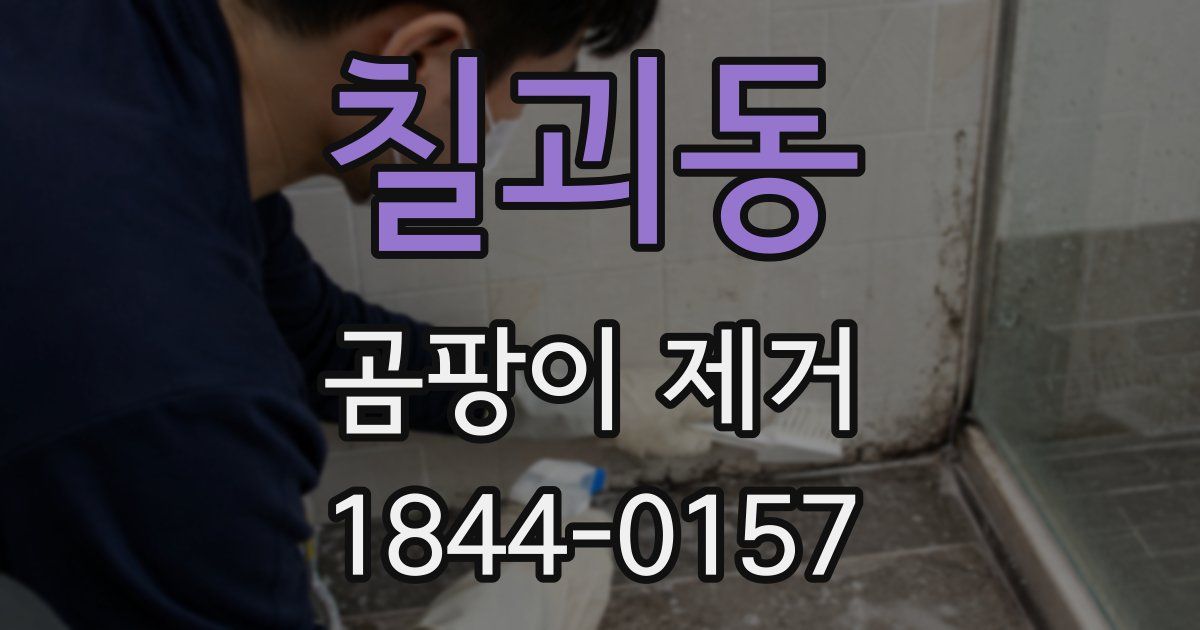 칠괴동 곰팡이 제거