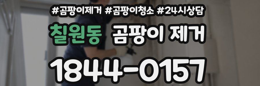 칠원동 곰팡이 제거