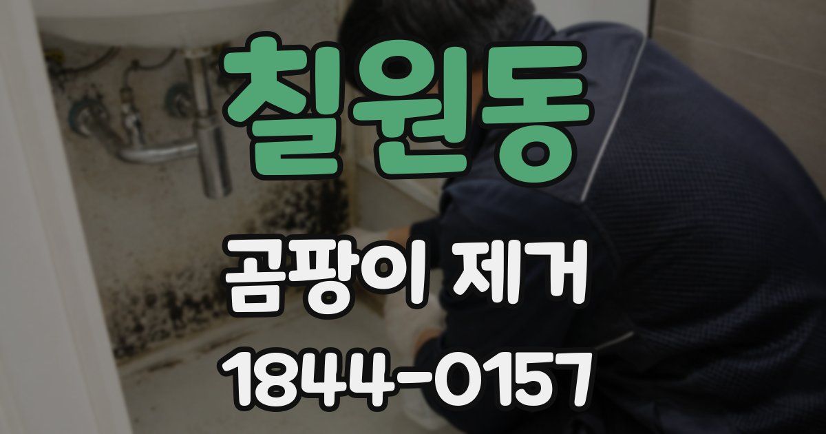 칠원동 곰팡이 제거