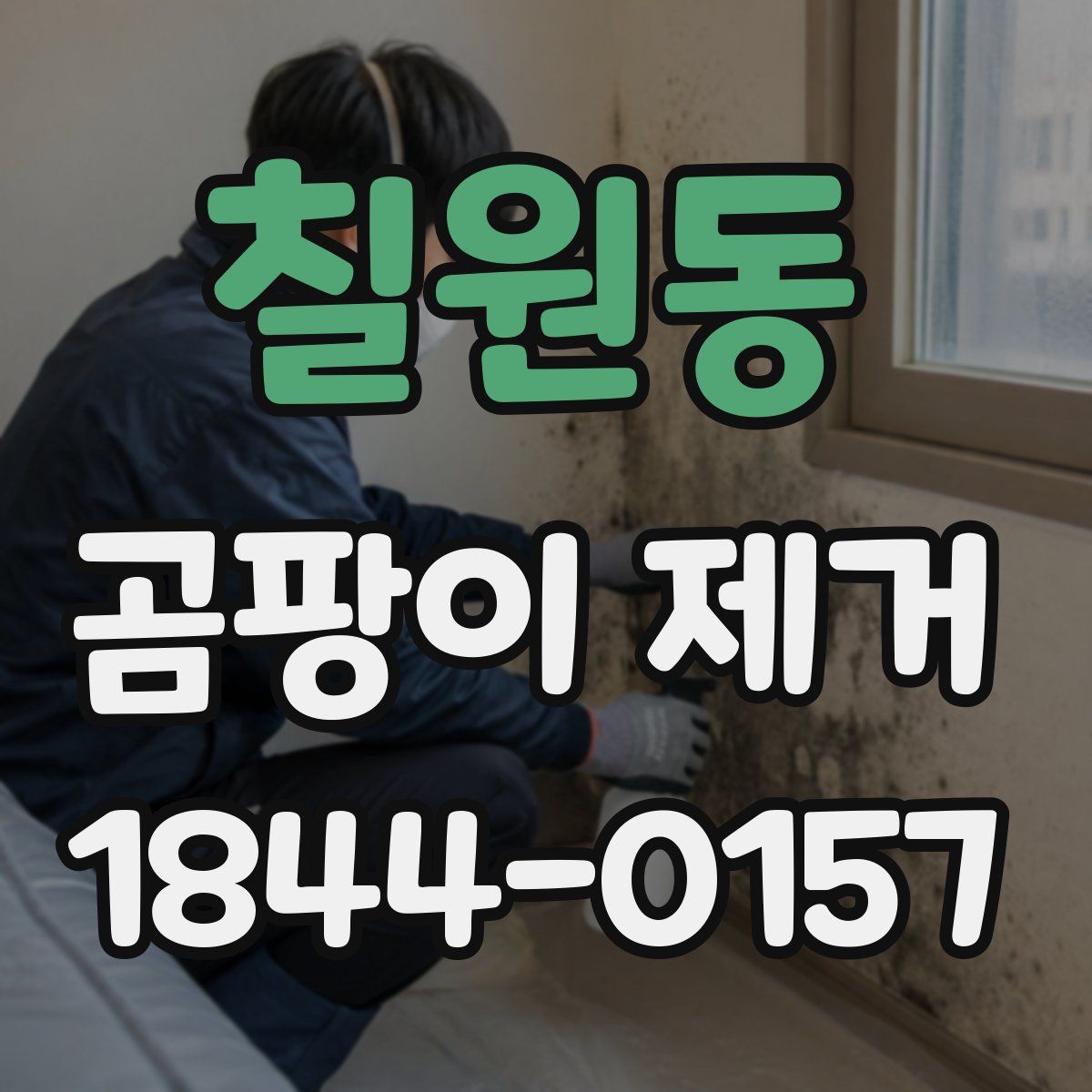 칠원동 곰팡이 제거