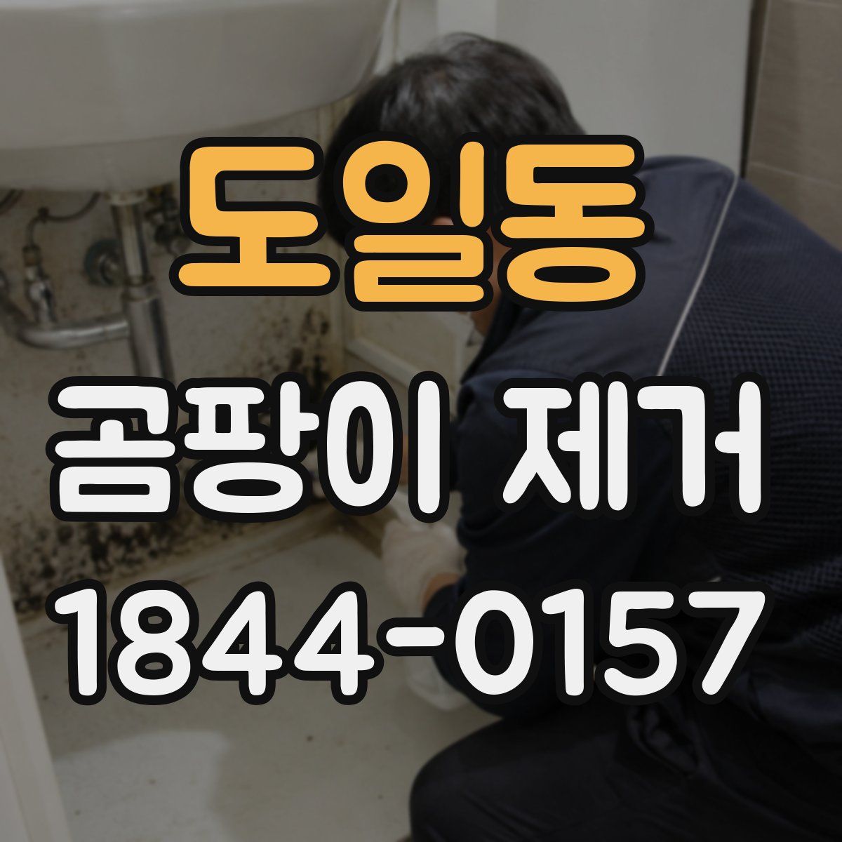 도일동 곰팡이 제거