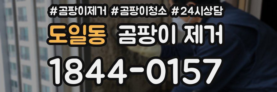 도일동 곰팡이 제거