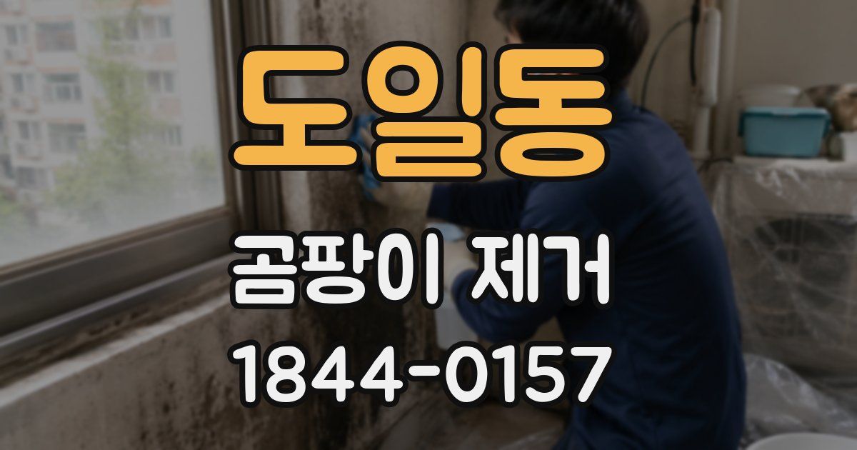 도일동 곰팡이 제거