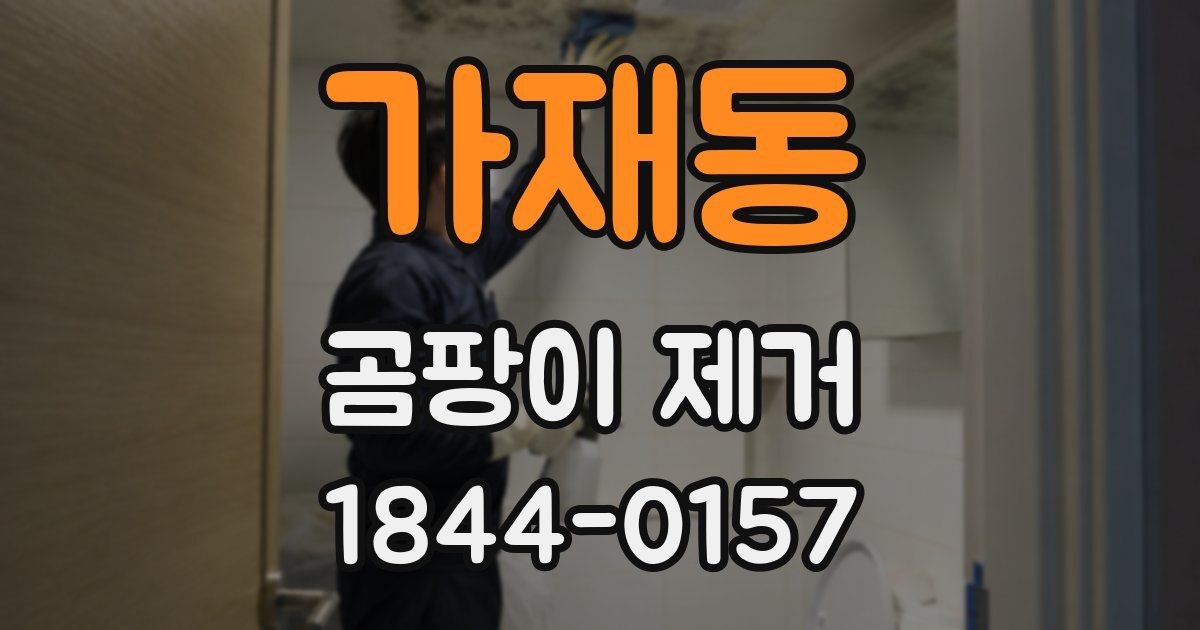 가재동 곰팡이 제거