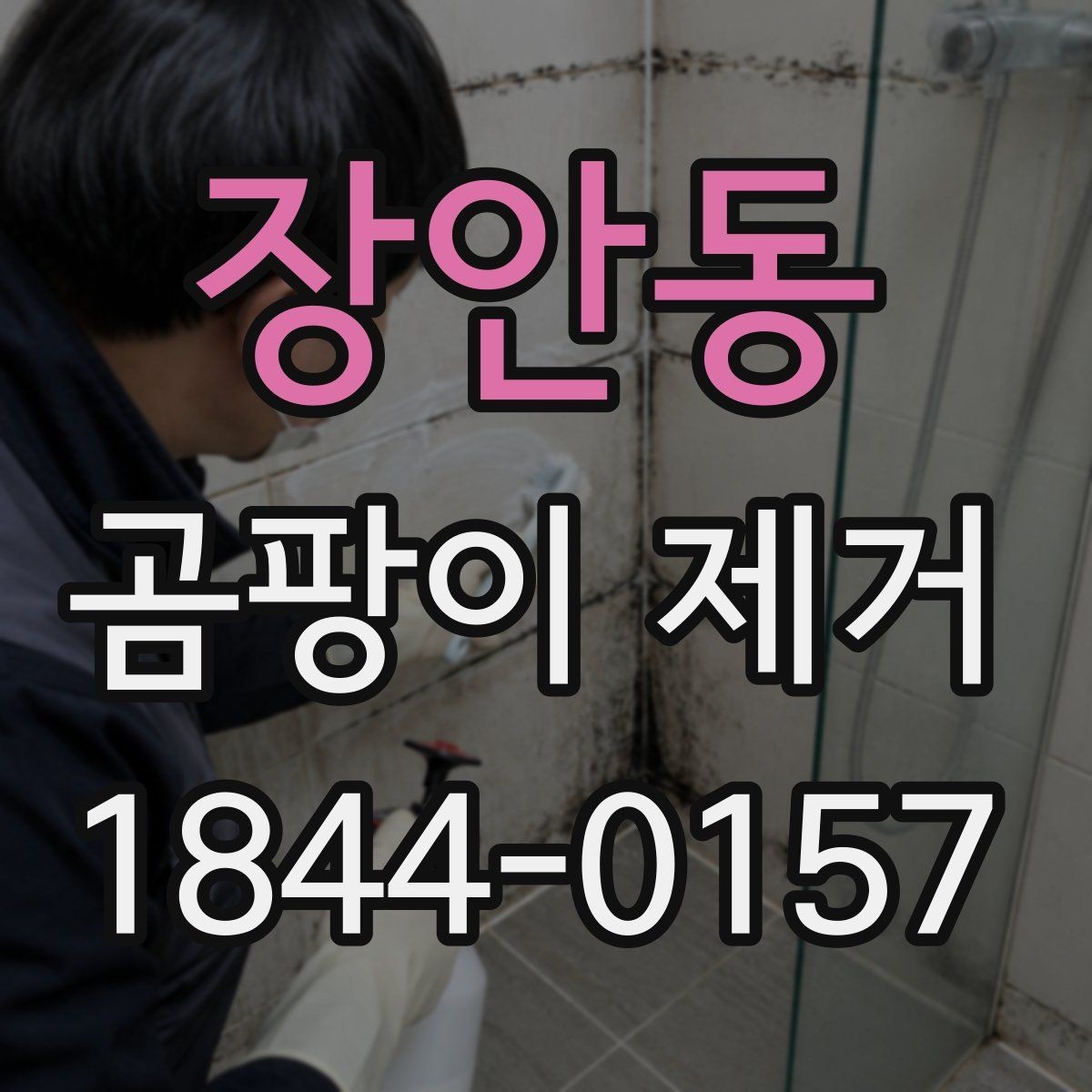 장안동 곰팡이 제거 결로가 심한 계절에 확인할 항목
