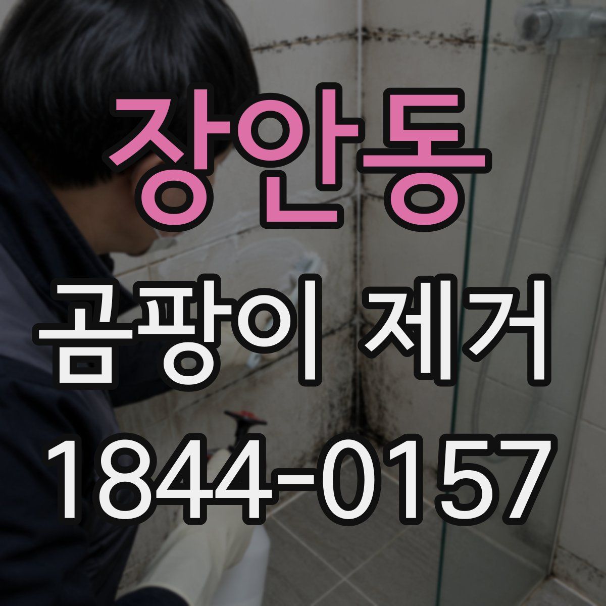 장안동 곰팡이 제거