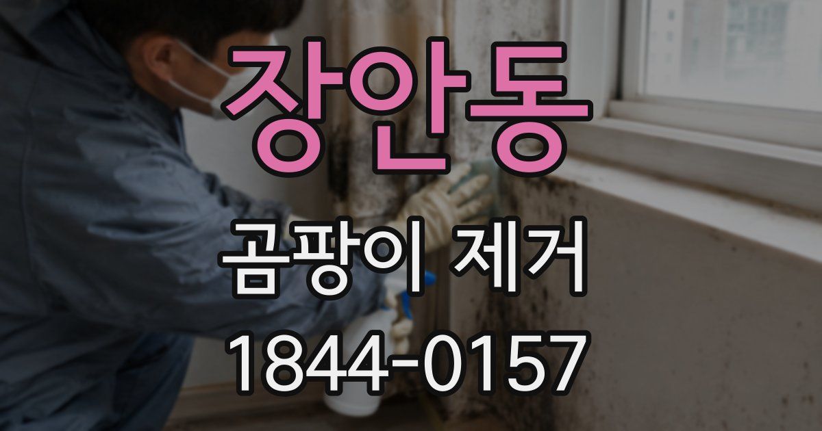 장안동 곰팡이 제거