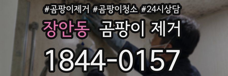 장안동 곰팡이 제거