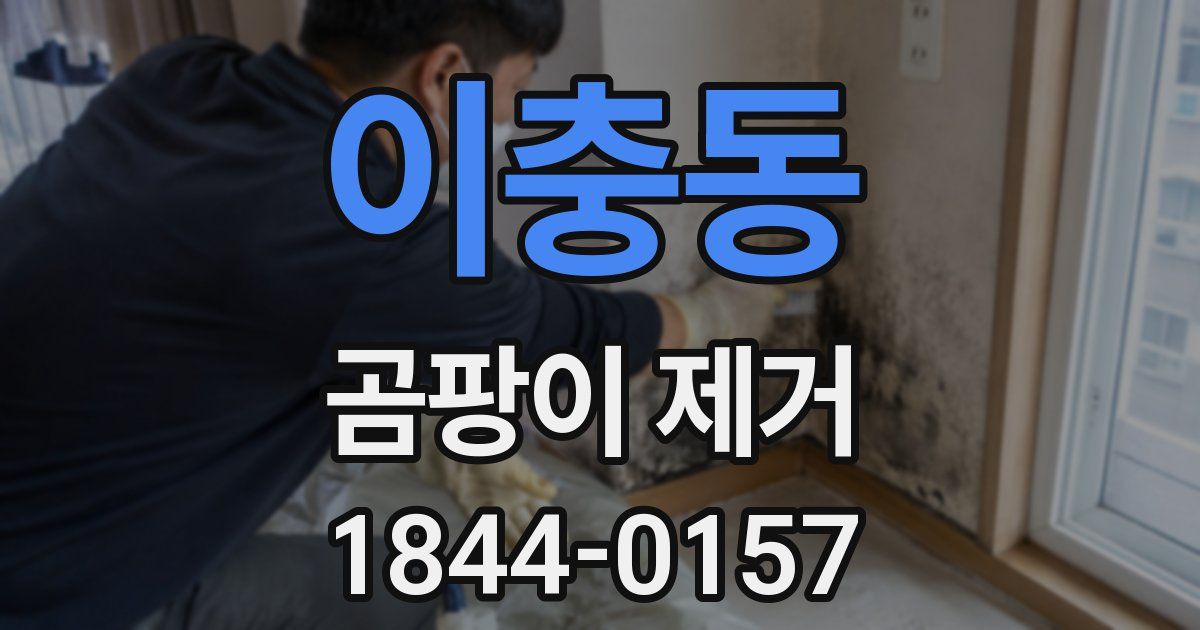 이충동 곰팡이 제거