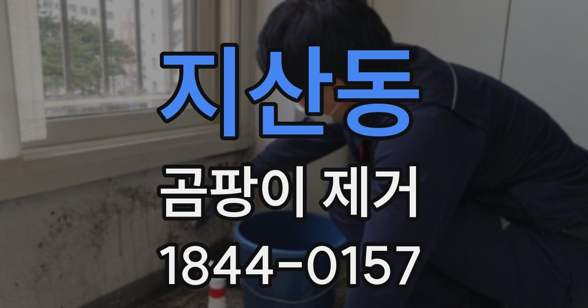 지산동 곰팡이 제거