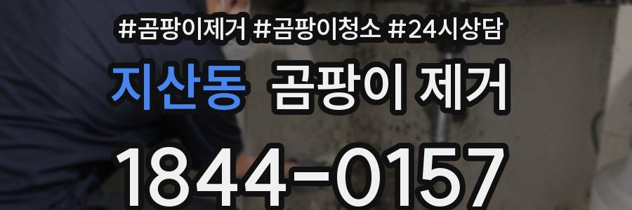 지산동 곰팡이 제거
