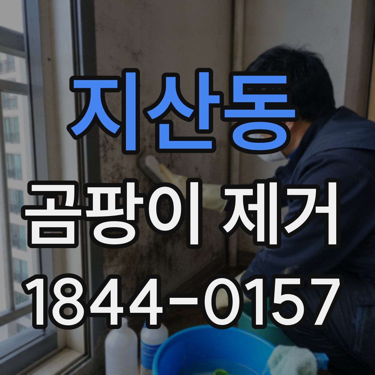 지산동 곰팡이 제거
