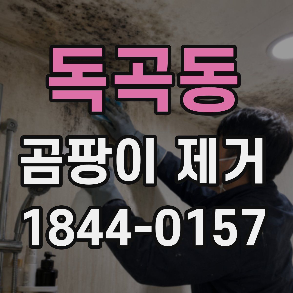 독곡동 곰팡이 제거