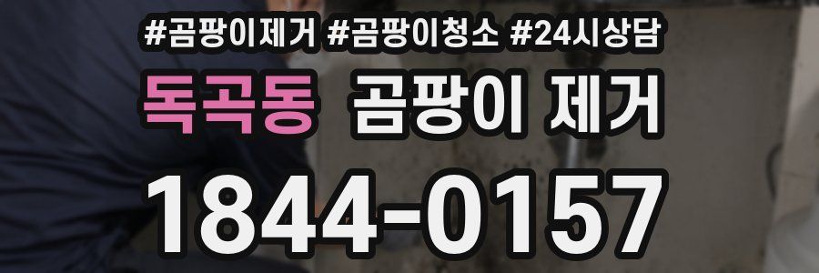 독곡동 곰팡이 제거