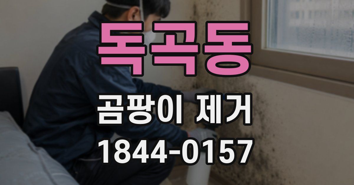 독곡동 곰팡이 제거