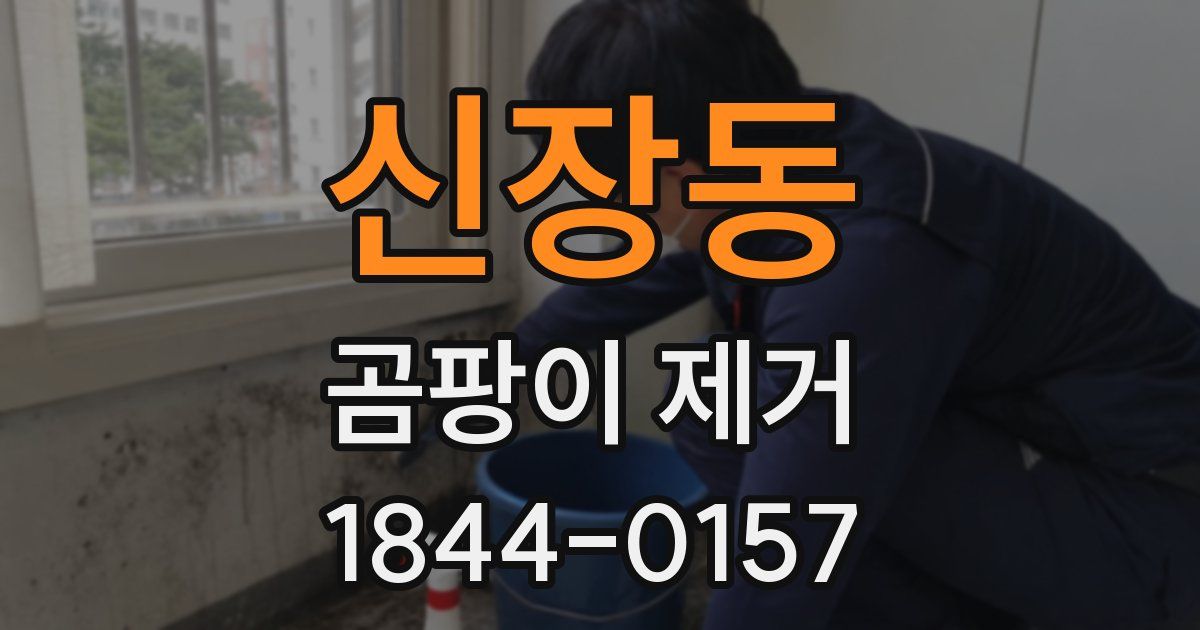 신장동 곰팡이 제거
