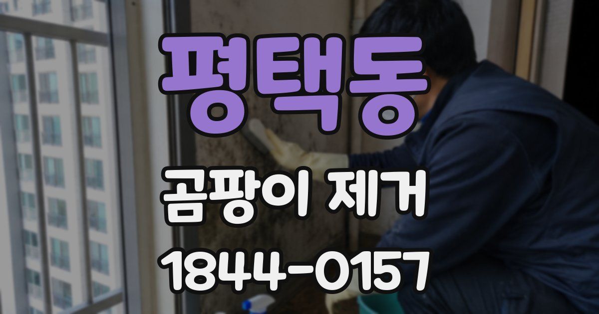 평택동 곰팡이 제거