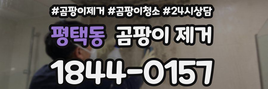 평택동 곰팡이 제거