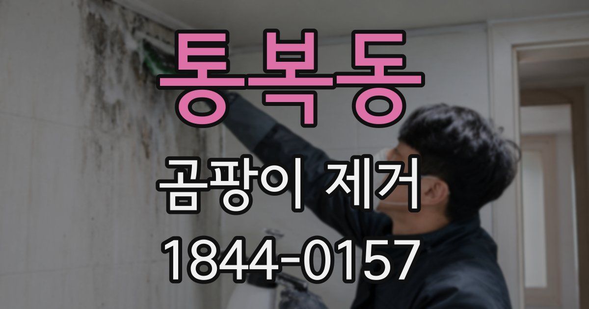 통복동 곰팡이 제거